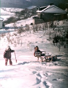 Schlittenfahrt am Eselsberg 1983
