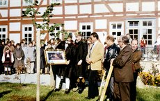 Bild_3