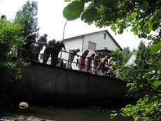 Entenrennen___21_