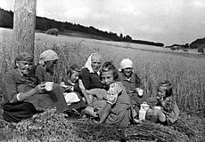 06-Mittagspause_auf_dem_Feld