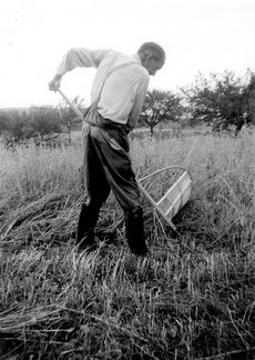 Fehling_Landwirtschaft