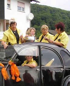 Sonnenschein_2010