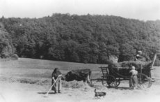 Philippine Droß, Hedwig Droß, Balduin Droß (auf dem Wagen)