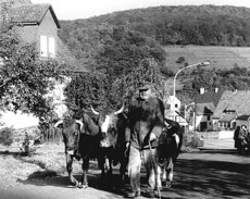 Heinrich Lißfeld in ehemaligen Bahnhofstraße (jetzt Zum Steimel)