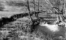Der Ulmbach