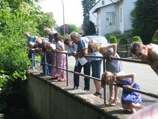 Entenrennen___46_