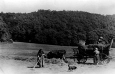 03-Keller__sch_bei_der_Heuernte