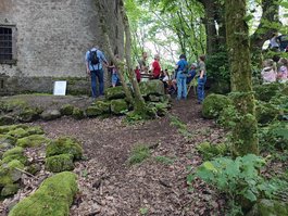 IMG_20240526_121045
