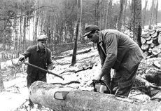 Holzarbeiten im Wald. Li. Bruno Keller.