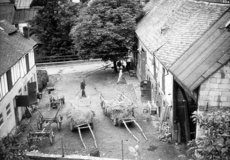 05-Leiterwagen_mit_Gruenfutter_im_Betzersch_Hof_in_den_60iger_Jahren