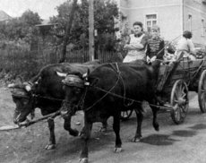 Emma und Wolfgang Dross