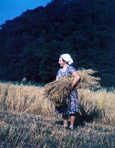 08-Ilse_Seelhof_mit_einem_Buendel_Hafer