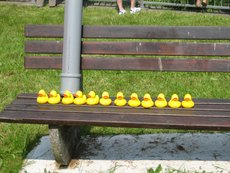 Entenrennen___44_