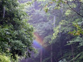 HuG Holzhausen Hüttenabend am 22.07.2017