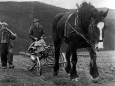 Betzer Jakob of em Äcker