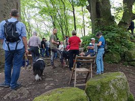 IMG_20240526_121135