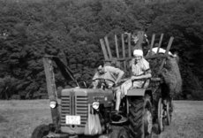 Erwin Zutt mit Mutter Lottche und (auf dem Wagen) Eduard Schäfer bei der Heuernte