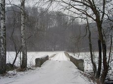 'Nau Brig'