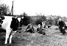 Helfer beim Viehauftrieb: v. li.: Ernst Christ, Otto Leidolf, Willi Seelhof, Walter Kraus, Peter Germann 