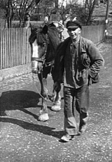 Paul Droß mit seinem Pferd auf dem Weg von der Ulmbachbrücke in Richtung Kreuzgasse ca. 1935
