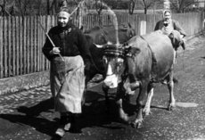 ?. Rupp (Oma von Dietmar Rupp)