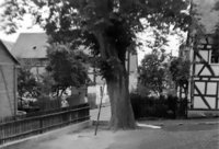 Linde Holzahausen vor Sturm