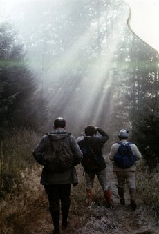Bild_5