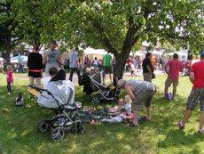 Entenrennen___43_