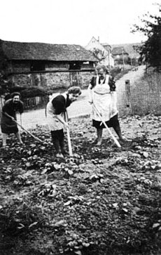 v. li.: Klara Kretzer, Paula Laurer und Luise Jung bei der Gartenarbeit im Hintergrund der alte Backsteinofen