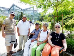 Palmengarten-1